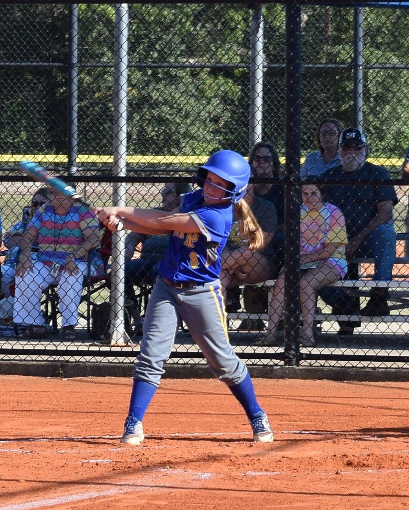 Four Bozeman youth baseball teams win state championships, advance