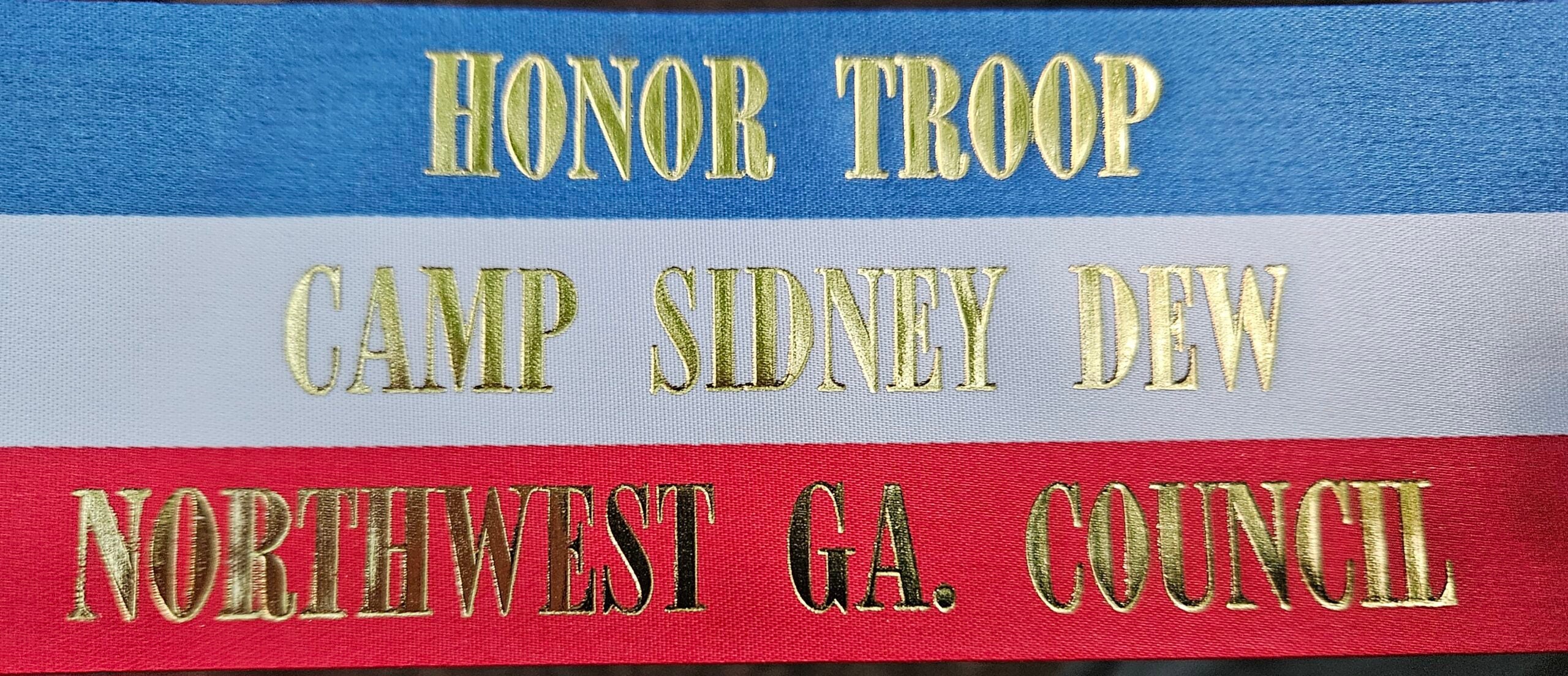 Troop 270 earns 